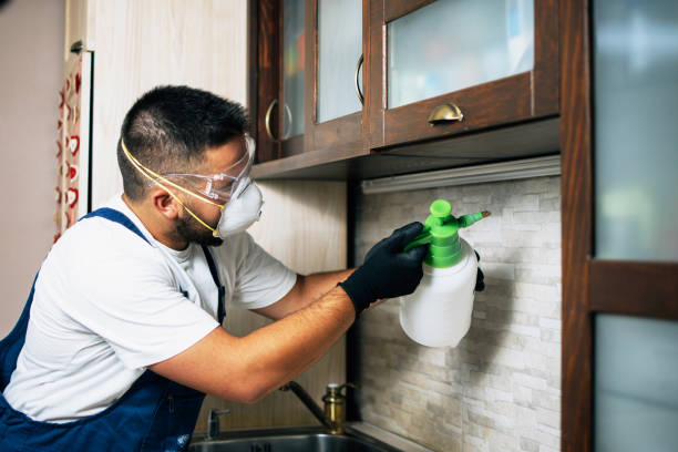 Best Pest Control for Restaurants  in Spooner, WI