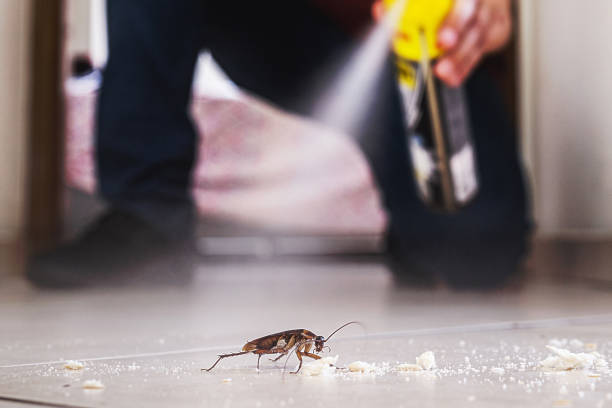 Pest Control Cost in Spooner, WI