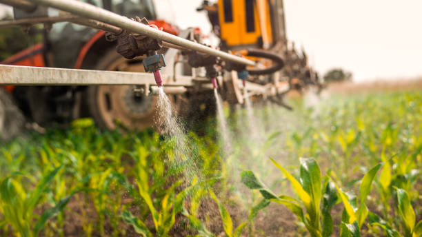 Best Wildlife Control Services  in Spooner, WI
